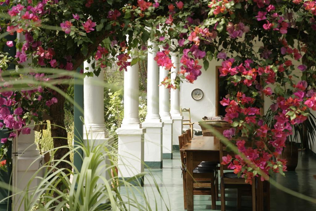 York Lodge ฮาราเร ภายนอก รูปภาพ